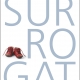 Surrogat - Vores historie med en surrogatmor